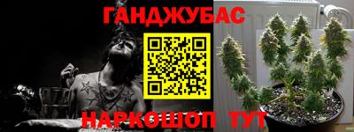 стафф Туймазы