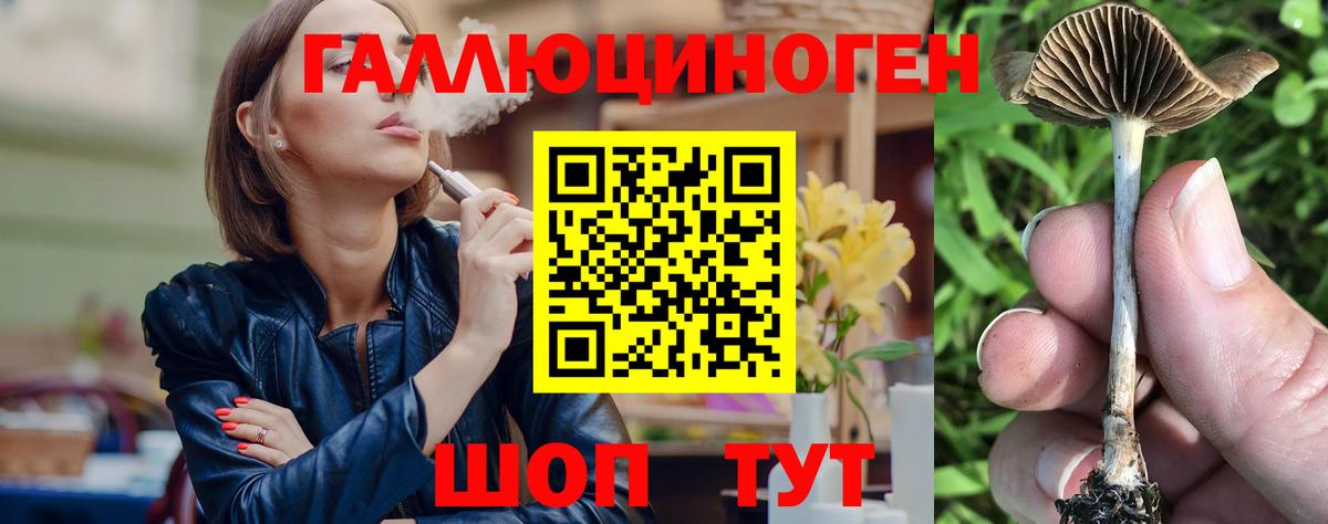 Псилоцибиновые грибы MAGIC MUSHROOMS  Вход с VPN  Братск 